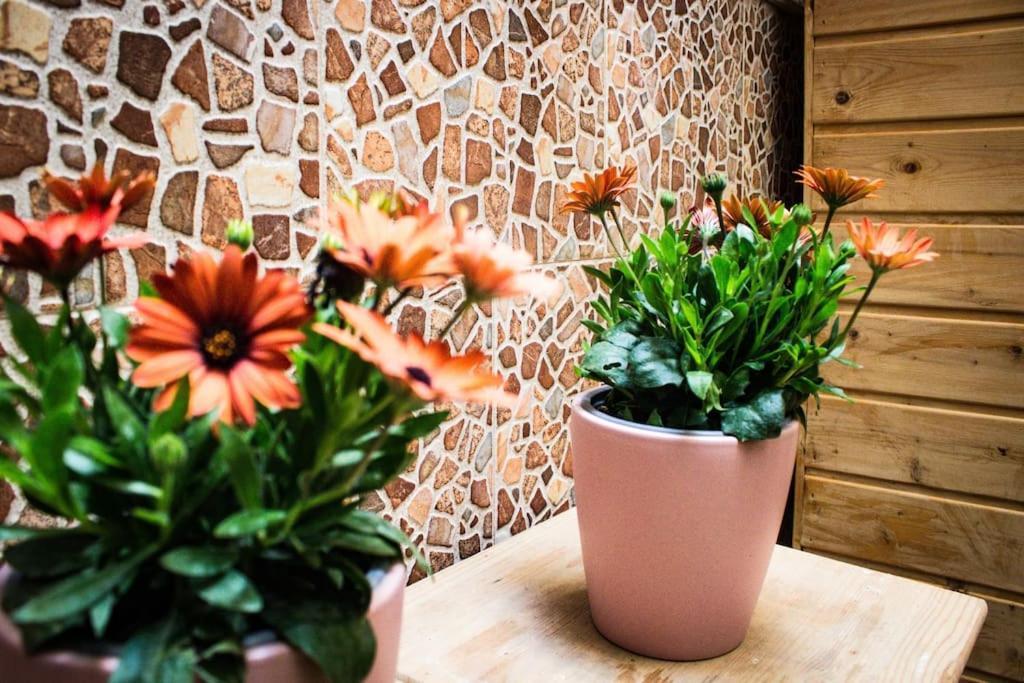 Apartamento Venus Appartement Ronda Buitenkant foto